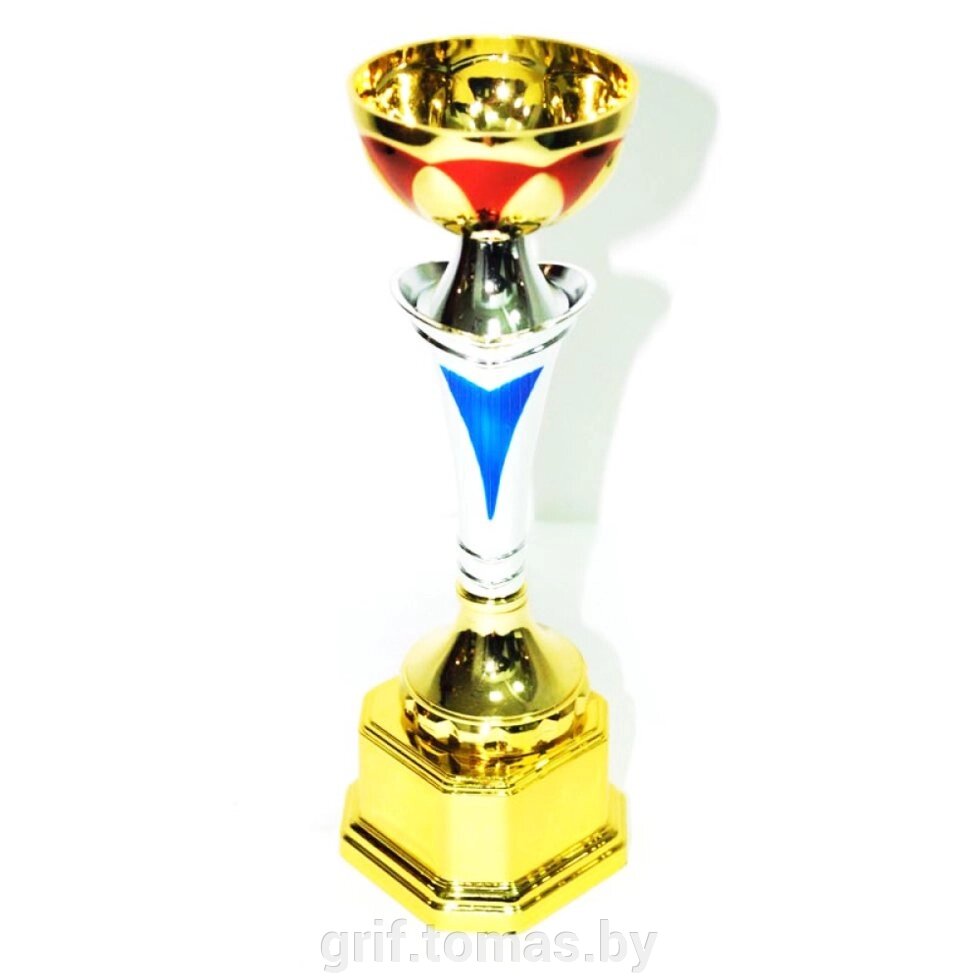 Кубок сувенирный HB7002C (арт. HB7002C) от компании Интернет-магазин товаров для спорта и туризма ГРИФ-СПОРТ - фото 1
