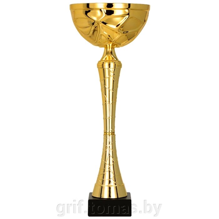 Кубок Tryumf 9251B (арт. 9251B) от компании Интернет-магазин товаров для спорта и туризма ГРИФ-СПОРТ - фото 1