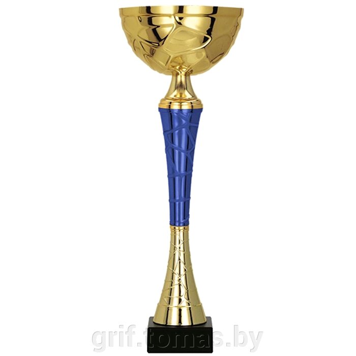Кубок Tryumf 9253C (арт. 9253C) от компании Интернет-магазин товаров для спорта и туризма ГРИФ-СПОРТ - фото 1