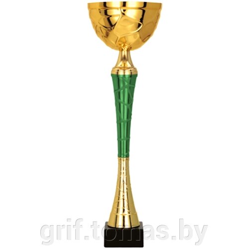 Кубок Tryumf 9254D (арт. 9254D-K) от компании Интернет-магазин товаров для спорта и туризма ГРИФ-СПОРТ - фото 1
