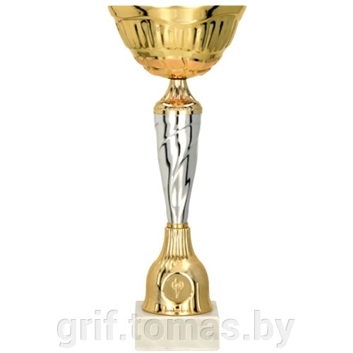 Кубок Tryumf 9256B (арт. 9256B-K) от компании Интернет-магазин товаров для спорта и туризма ГРИФ-СПОРТ - фото 1