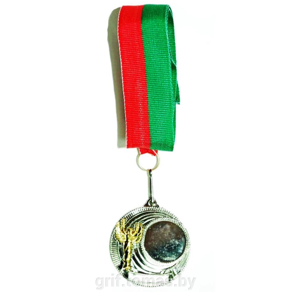 Медаль 5.0 см (серебро) (арт. 5,0-BG) от компании Интернет-магазин товаров для спорта и туризма ГРИФ-СПОРТ - фото 1