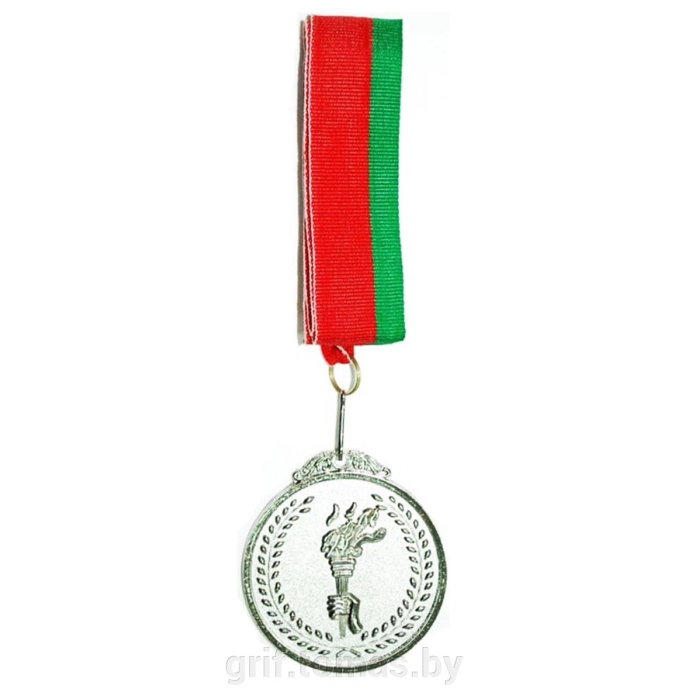 Медаль 6.5 см (серебро) (арт. HJ-6.5-S) от компании Интернет-магазин товаров для спорта и туризма ГРИФ-СПОРТ - фото 1
