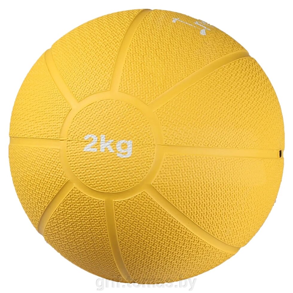 Медицинбол Indigo 2.0 кг (арт. 9056HKTB-2-Y) от компании Интернет-магазин товаров для спорта и туризма ГРИФ-СПОРТ - фото 1