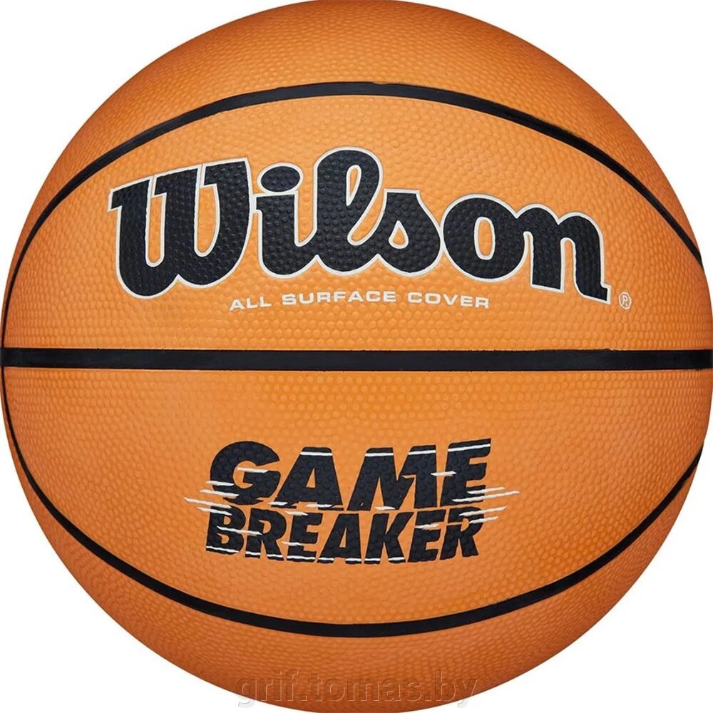 Мяч баскетбольный детский любительский Wilson Game Breaker Indoor/Outdoor №5 (арт. WTB0050XB5) от компании Интернет-магазин товаров для спорта и туризма ГРИФ-СПОРТ - фото 1