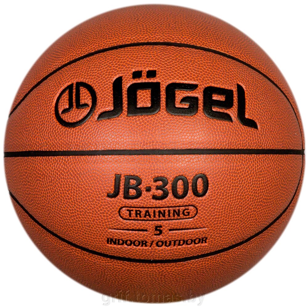 Мяч баскетбольный детский тренировочный Jögel Indoor/Outdoor №5 (арт. JB-300-5) от компании Интернет-магазин товаров для спорта и туризма ГРИФ-СПОРТ - фото 1