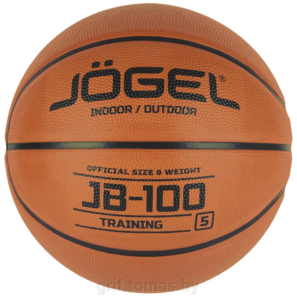 Мяч баскетбольный детский тренировочный Jögel Indoor/Outdoor №5 (арт. JGL-18765) от компании Интернет-магазин товаров для спорта и туризма ГРИФ-СПОРТ - фото 1