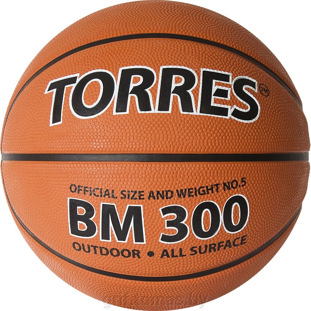 Мяч баскетбольный детский тренировочный Torres BM300 Indoor/Outdoor №5 (арт. B02015-5) от компании Интернет-магазин товаров для спорта и туризма ГРИФ-СПОРТ - фото 1