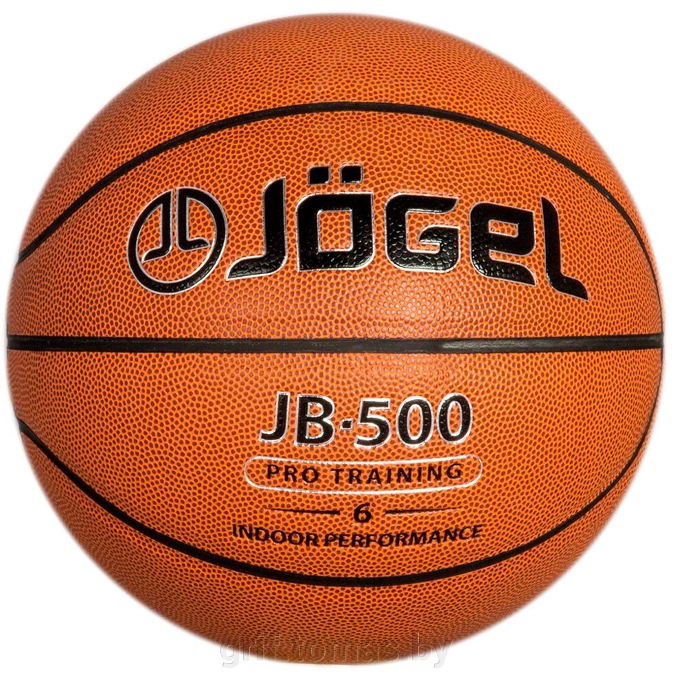 Мяч баскетбольный игровой Jögel Indoor №6 (арт. JB-500-6) от компании Интернет-магазин товаров для спорта и туризма ГРИФ-СПОРТ - фото 1