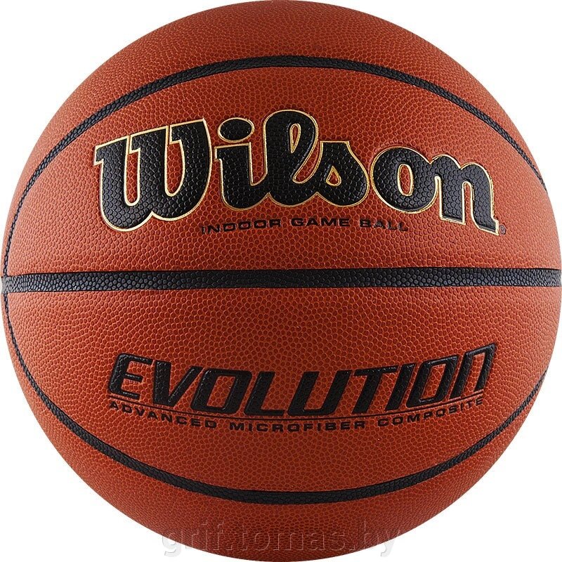 Мяч баскетбольный игровой Wilson Evolution Indoor №7 (арт. WTB0516XBEMEA) от компании Интернет-магазин товаров для спорта и туризма ГРИФ-СПОРТ - фото 1