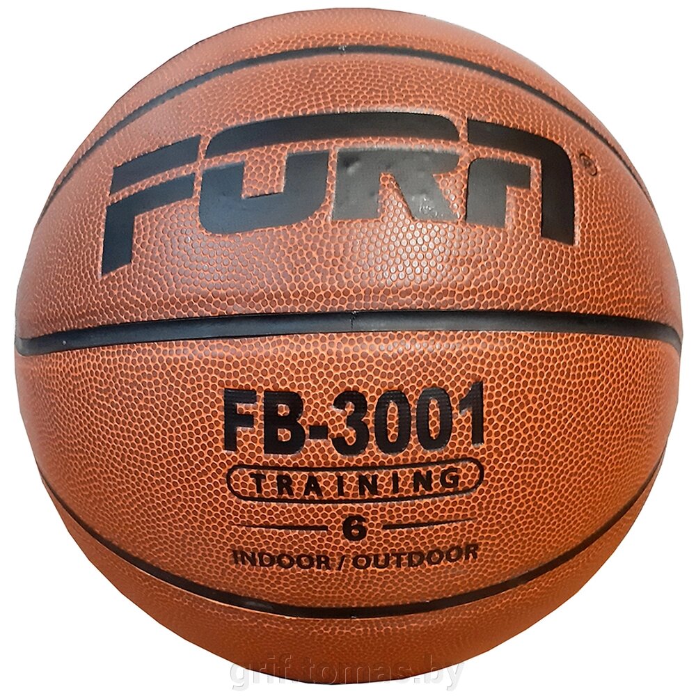Мяч баскетбольный тренировочный Fora Indoor/Outdoor №6 (арт. FB-3001-6) от компании Интернет-магазин товаров для спорта и туризма ГРИФ-СПОРТ - фото 1