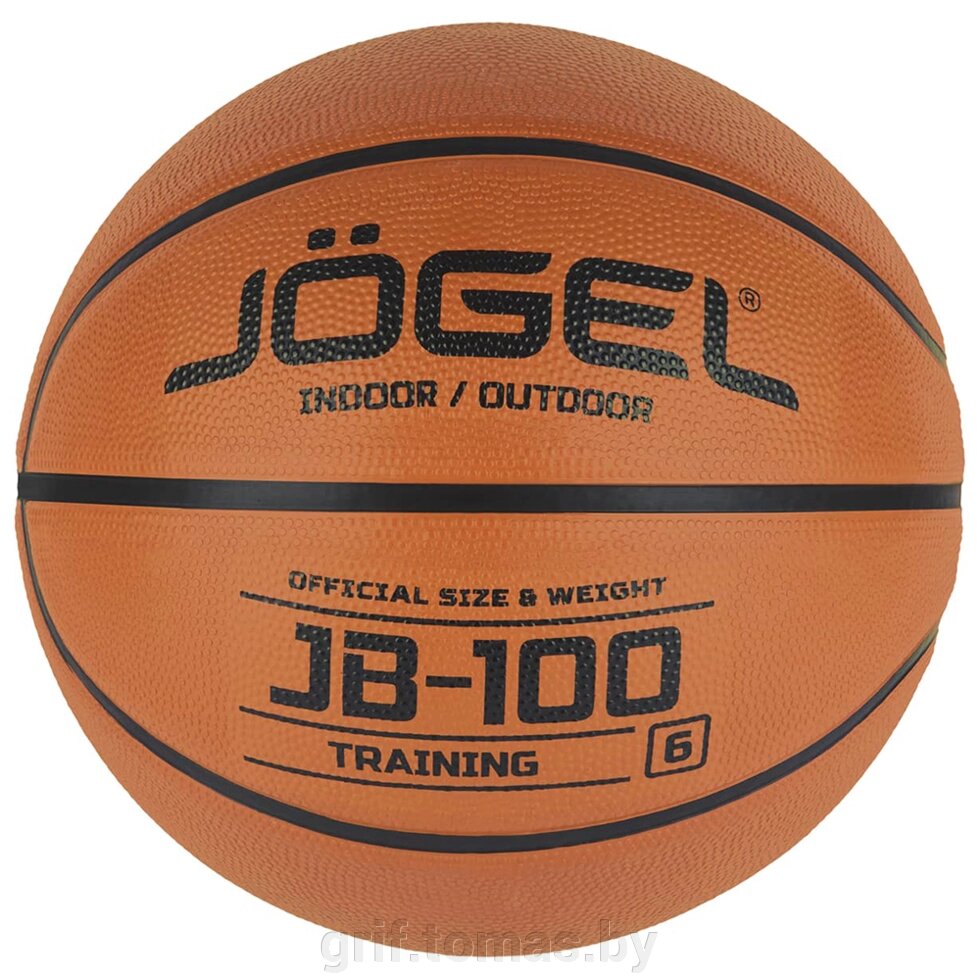 Мяч баскетбольный тренировочный Jögel Indoor/Outdoor №6 (арт. JGL-18766) от компании Интернет-магазин товаров для спорта и туризма ГРИФ-СПОРТ - фото 1
