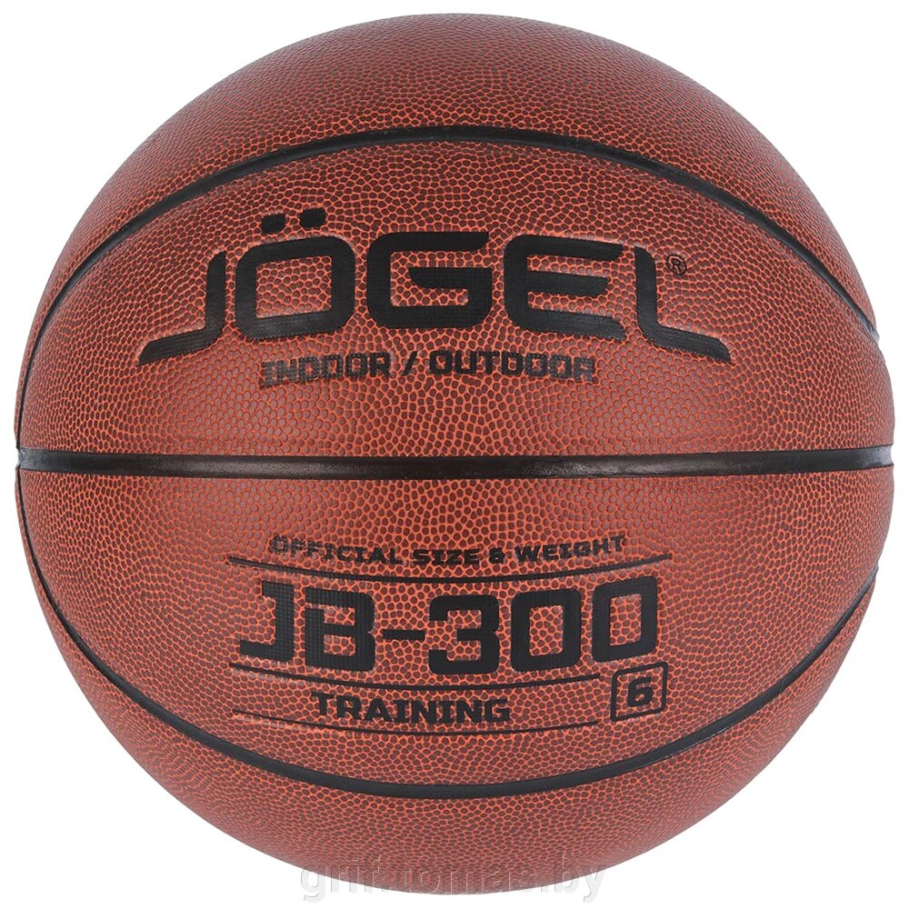 Мяч баскетбольный тренировочный Jögel Indoor/Outdoor №6 (арт. JGL-18769) от компании Интернет-магазин товаров для спорта и туризма ГРИФ-СПОРТ - фото 1