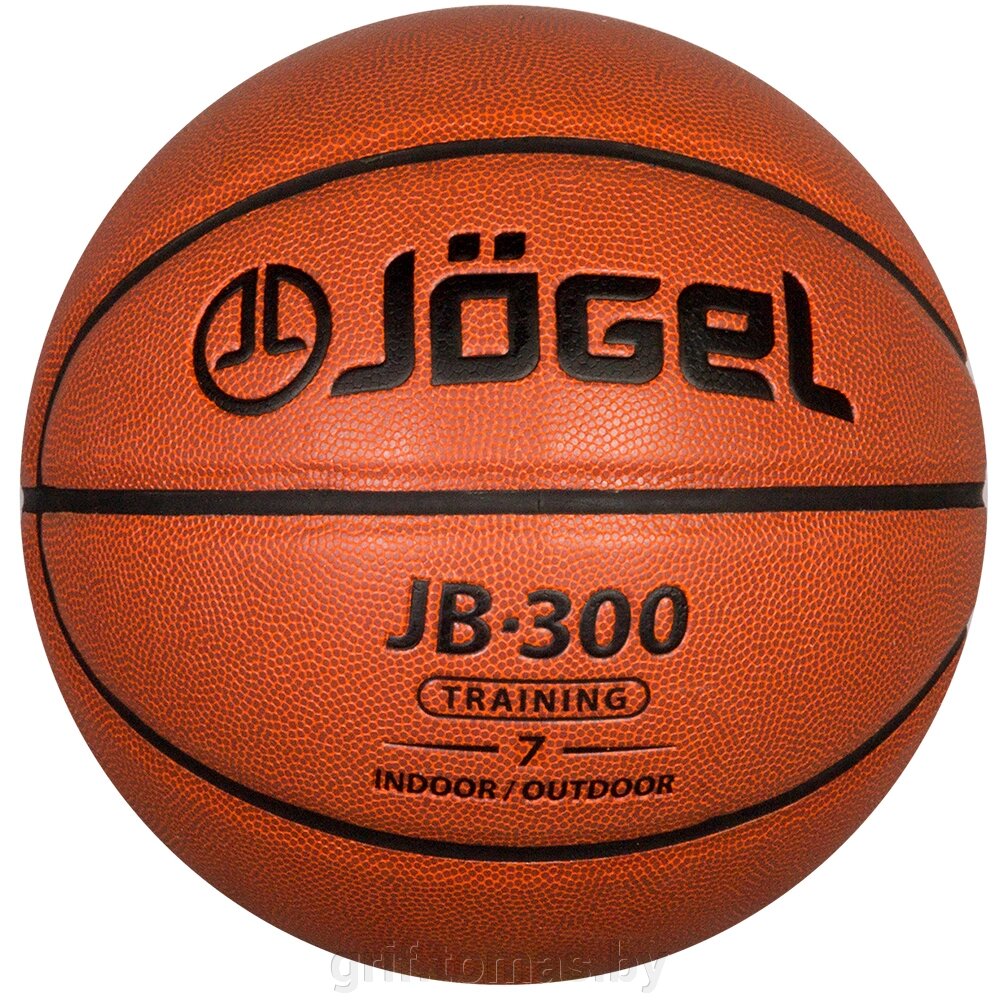 Мяч баскетбольный тренировочный Jögel Indoor/Outdoor №7 (арт. JB-300-7) от компании Интернет-магазин товаров для спорта и туризма ГРИФ-СПОРТ - фото 1