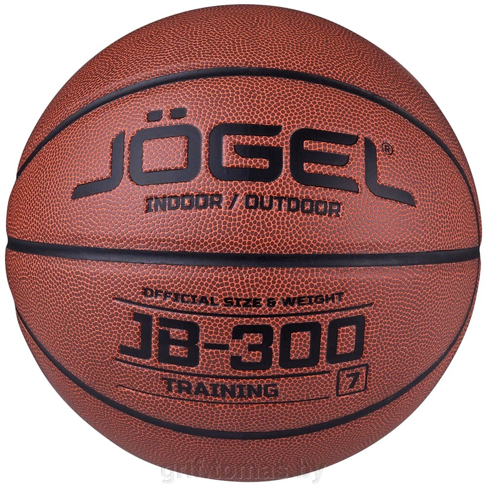 Мяч баскетбольный тренировочный Jögel Indoor/Outdoor №7 (арт. JGL-18770) от компании Интернет-магазин товаров для спорта и туризма ГРИФ-СПОРТ - фото 1