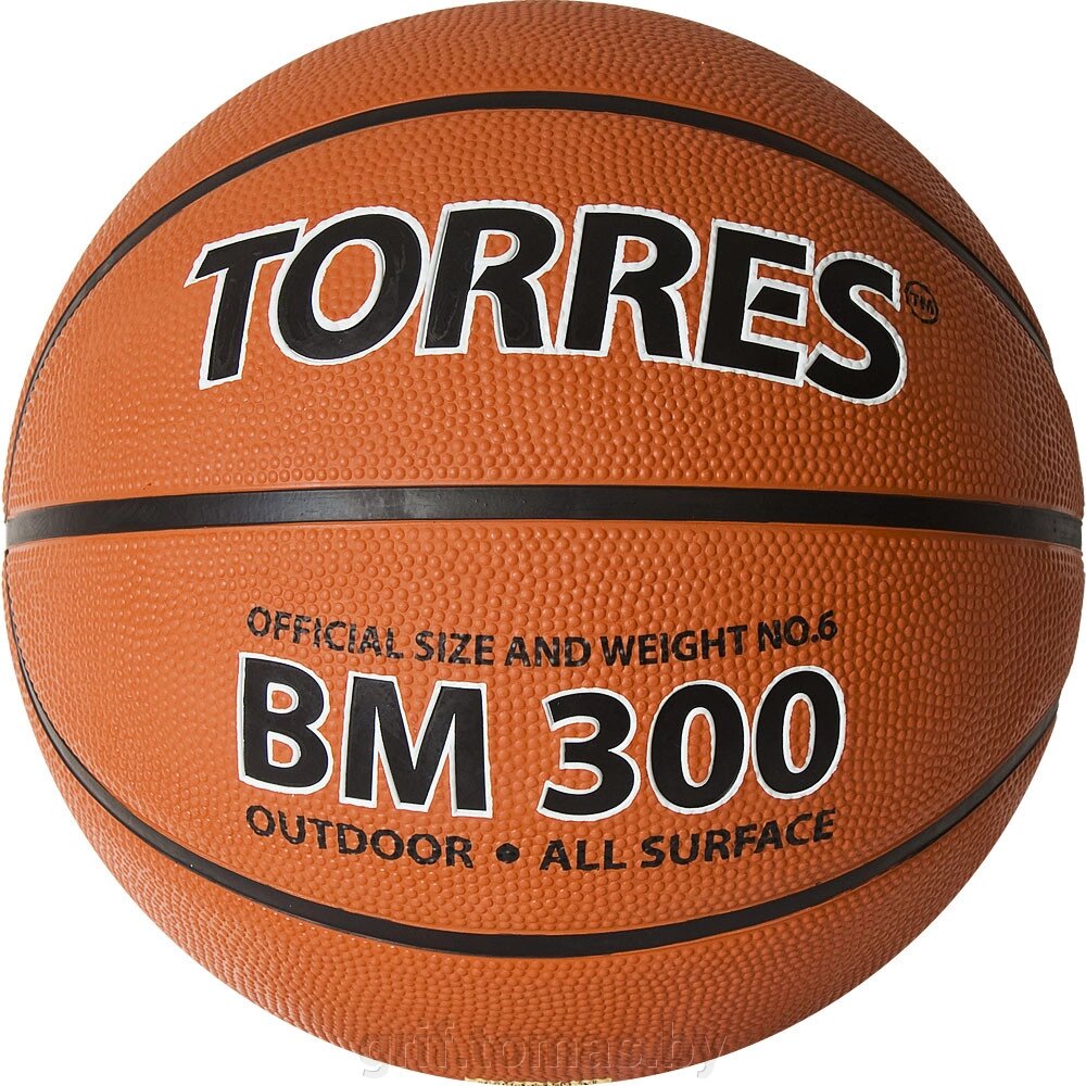 Мяч баскетбольный тренировочный Torres BM300 Indoor/Outdoor №6 (арт. B02016-6) от компании Интернет-магазин товаров для спорта и туризма ГРИФ-СПОРТ - фото 1