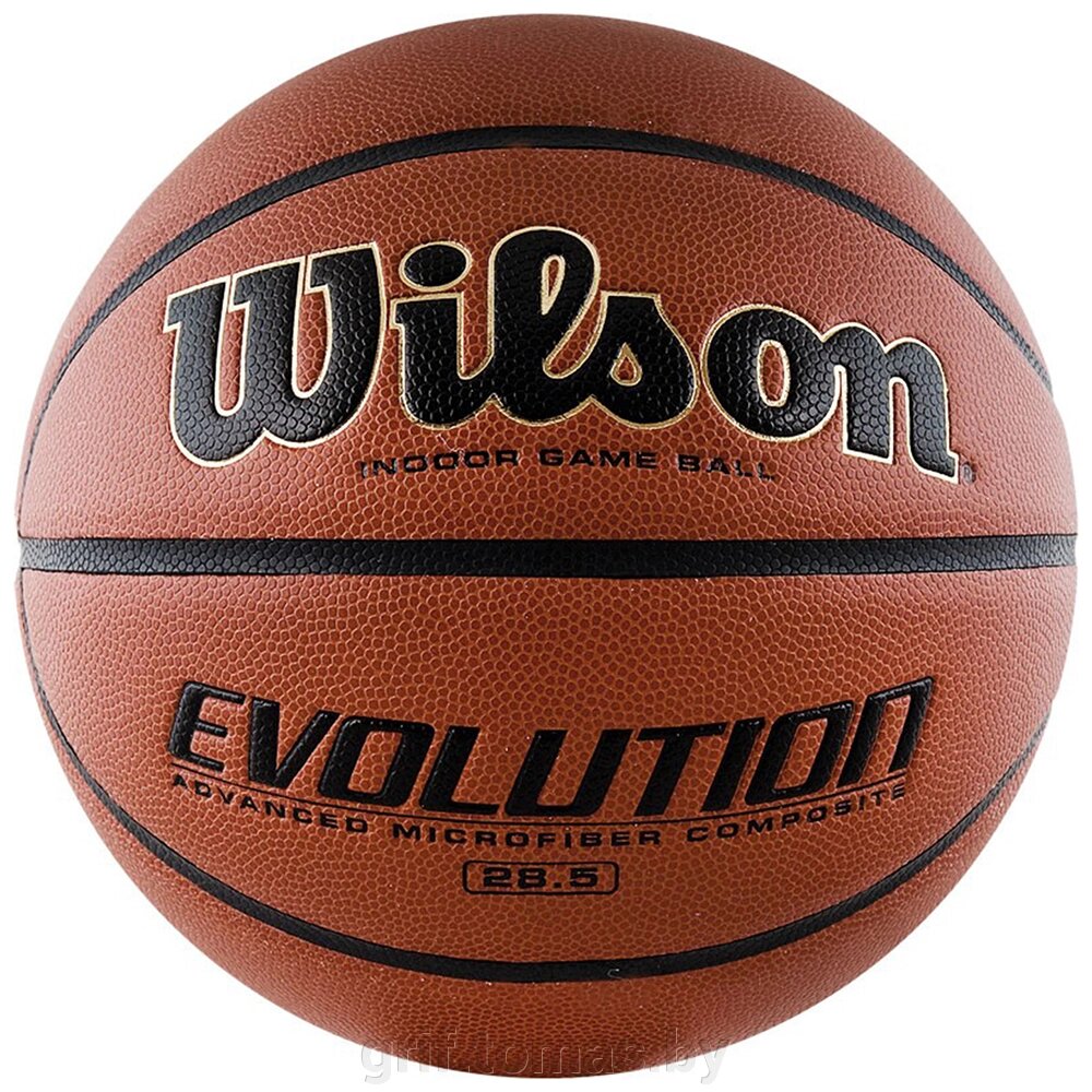 Мяч баскетбольный тренировочный Wilson Evolution Indoor №6 (арт. WTB0586XBEMEA) от компании Интернет-магазин товаров для спорта и туризма ГРИФ-СПОРТ - фото 1