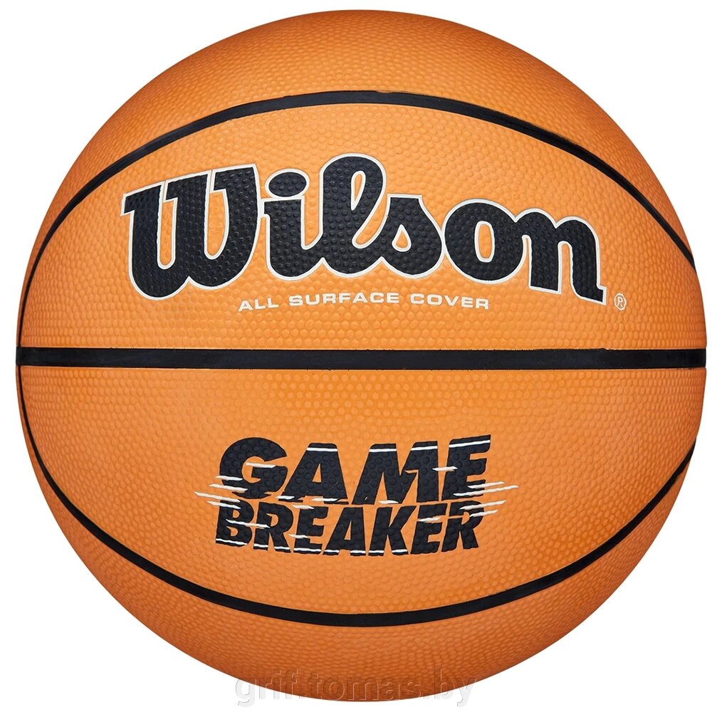 Мяч баскетбольный тренировочный Wilson Gambreaker Outdoor №7 (арт. WTB0050XB07) от компании Интернет-магазин товаров для спорта и туризма ГРИФ-СПОРТ - фото 1