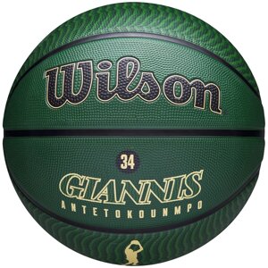 Мяч баскетбольный тренировочный Wilson NBA Player Icon Giannis №7 (арт. WZ4006201XB7)
