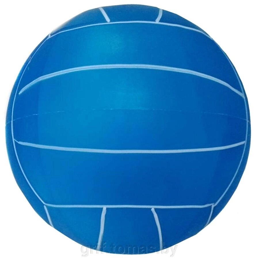 Мяч детский игровой 22 см (арт. GP-G22) от компании Интернет-магазин товаров для спорта и туризма ГРИФ-СПОРТ - фото 1