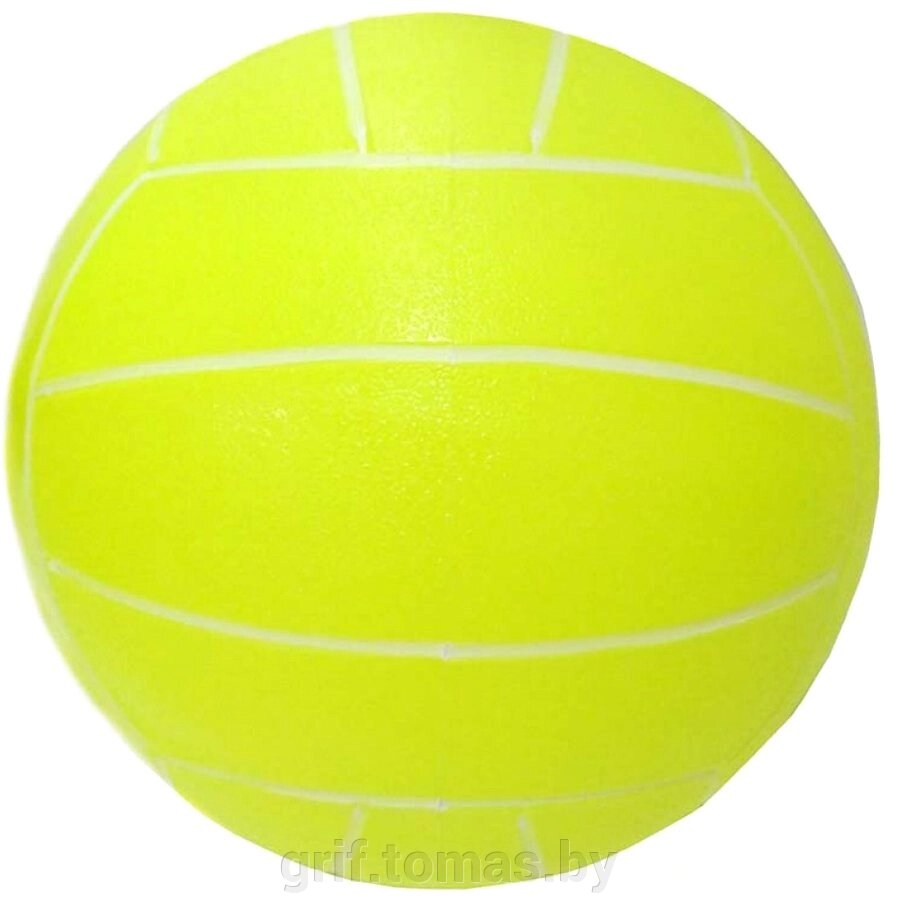 Мяч детский игровой 22 см (арт. GP-M22) от компании Интернет-магазин товаров для спорта и туризма ГРИФ-СПОРТ - фото 1
