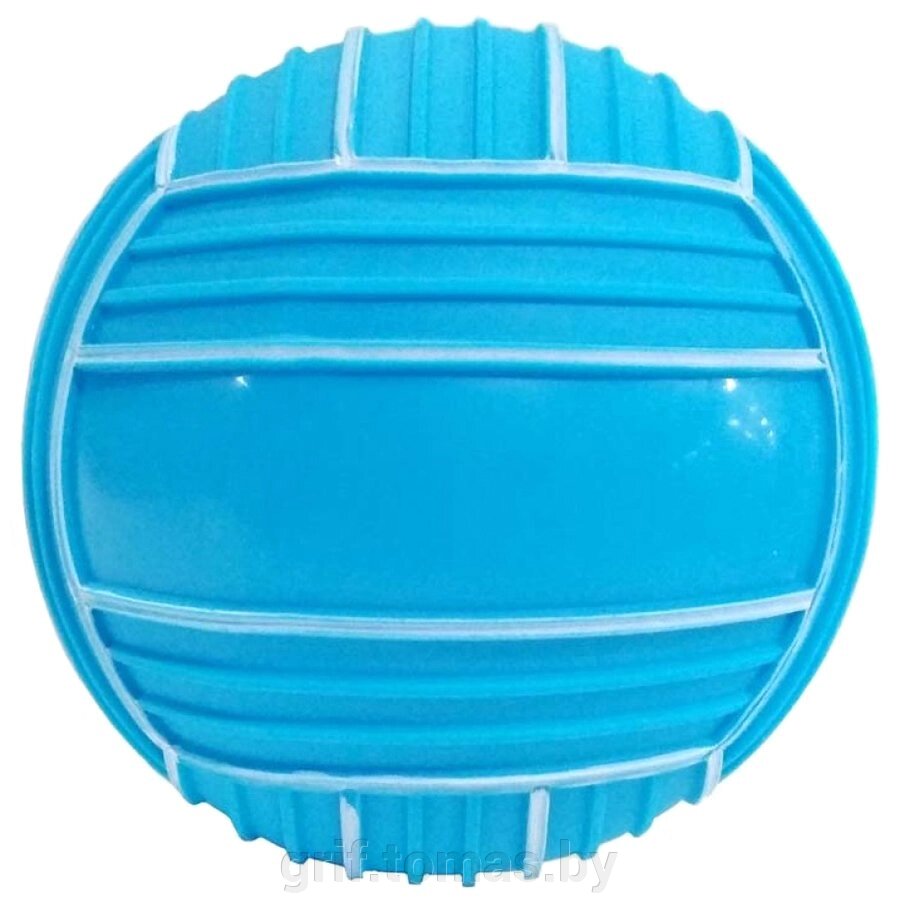 Мяч детский игровой 22 см (арт. GP-T22) от компании Интернет-магазин товаров для спорта и туризма ГРИФ-СПОРТ - фото 1
