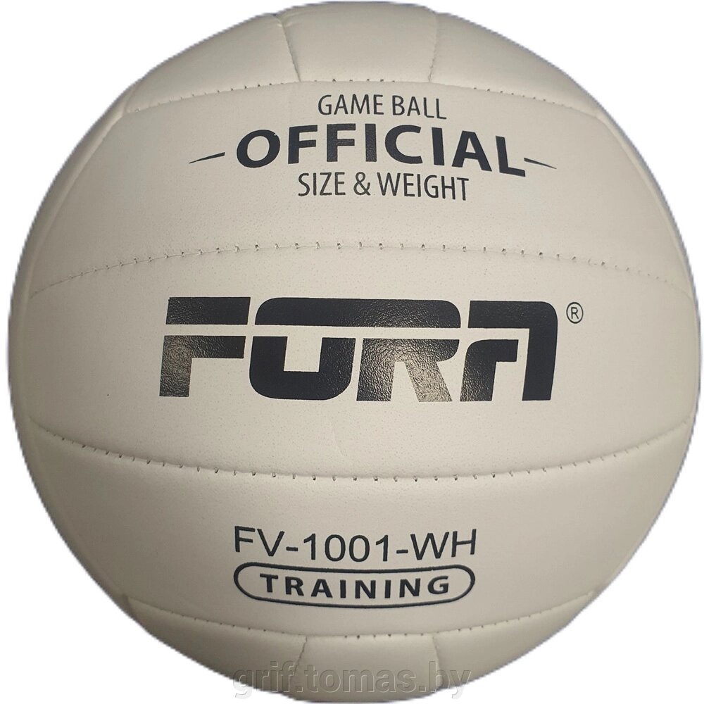 Мяч для пляжного волейбола любительский Fora (арт. FV-1001-WH) от компании Интернет-магазин товаров для спорта и туризма ГРИФ-СПОРТ - фото 1