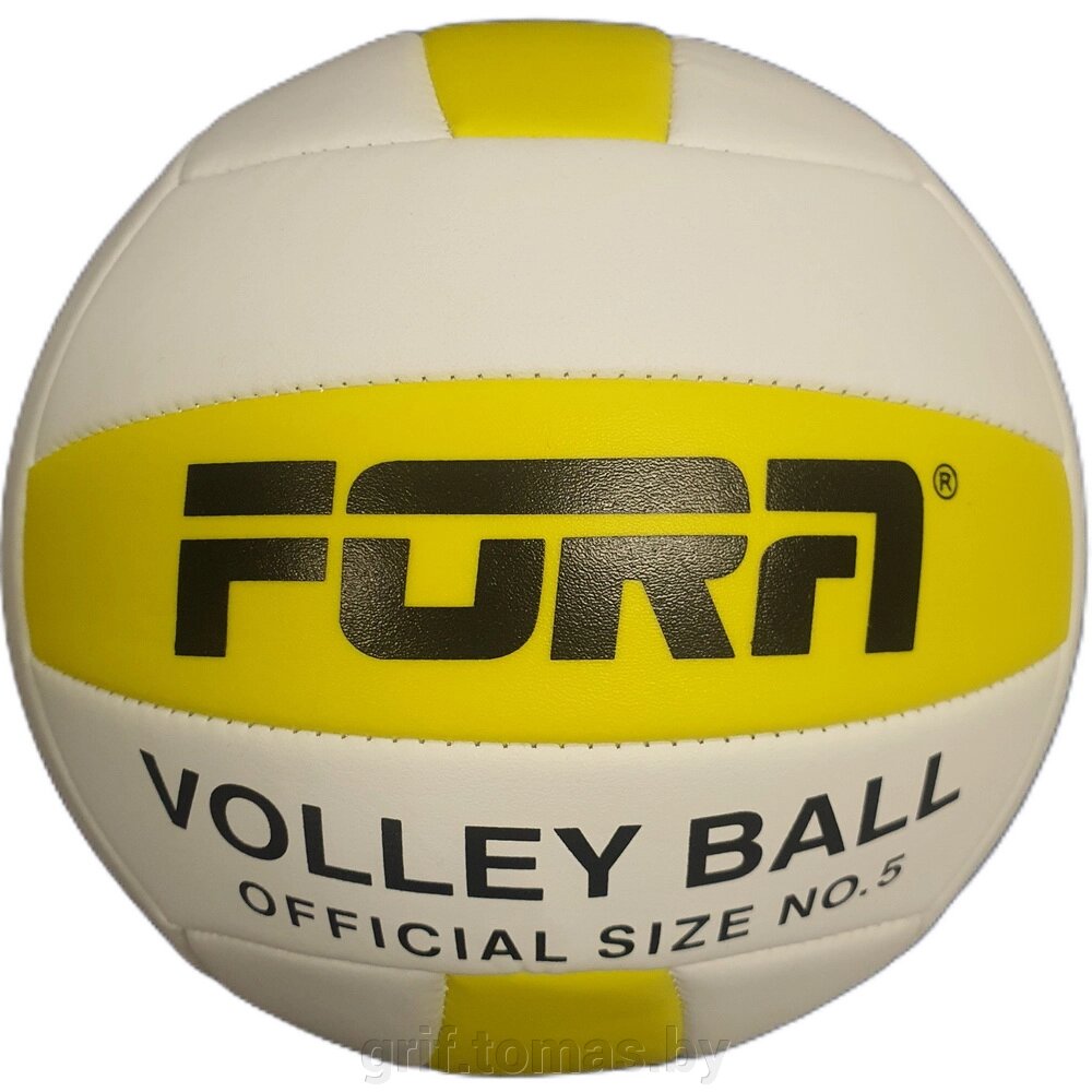 Мяч для пляжного волейбола любительский Fora (арт. VL5818) от компании Интернет-магазин товаров для спорта и туризма ГРИФ-СПОРТ - фото 1