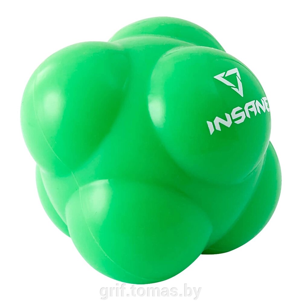 Мяч для тренировки реакции INSANE (арт. IN22-RB100) от компании Интернет-магазин товаров для спорта и туризма ГРИФ-СПОРТ - фото 1