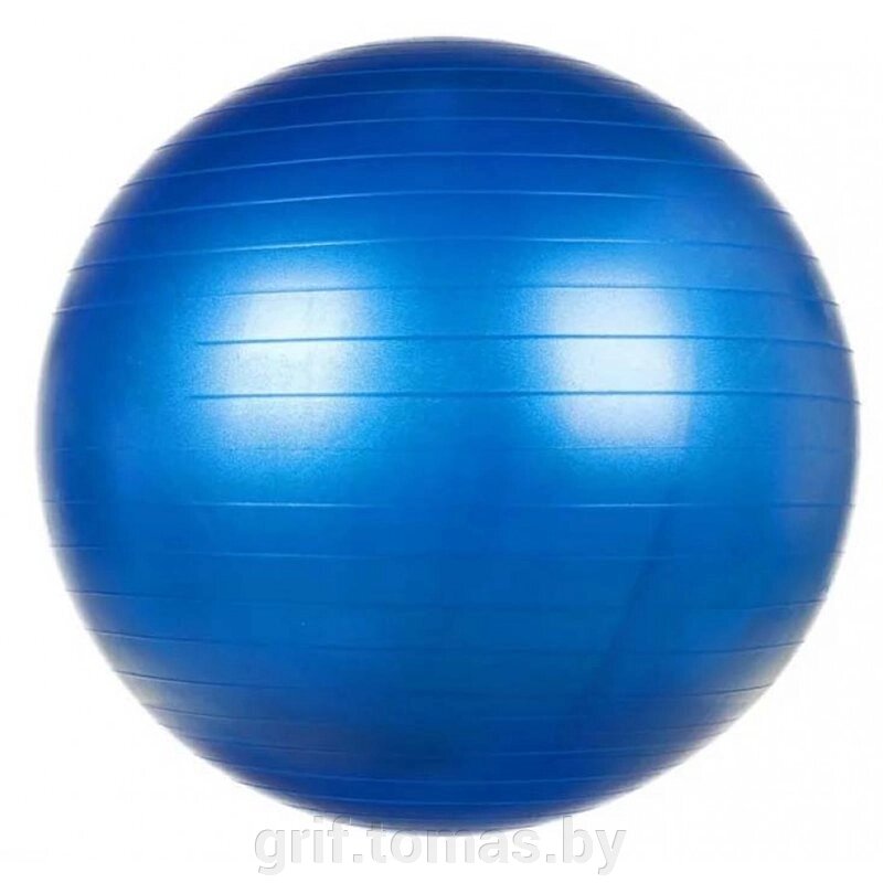 Мяч гимнастический (фитбол) 65 см  (арт. 1-D65) от компании Интернет-магазин товаров для спорта и туризма ГРИФ-СПОРТ - фото 1