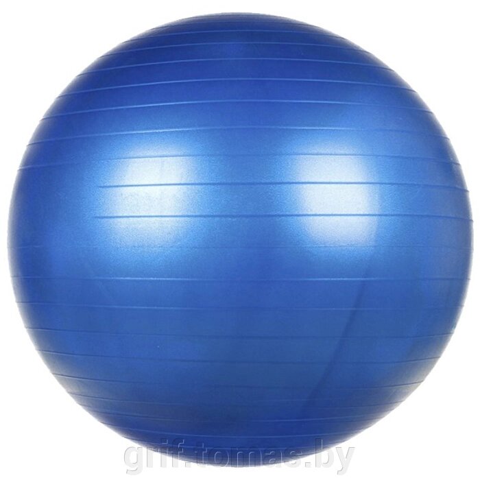 Мяч гимнастический (фитбол) 65 см с системой антивзрыв (арт. F1302) от компании Интернет-магазин товаров для спорта и туризма ГРИФ-СПОРТ - фото 1