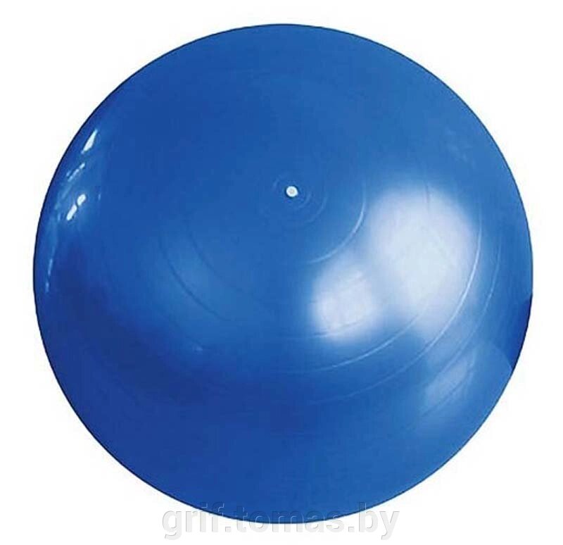Мяч гимнастический (фитбол) 75 см с системой антивзрыв (арт. FB-75) от компании Интернет-магазин товаров для спорта и туризма ГРИФ-СПОРТ - фото 1