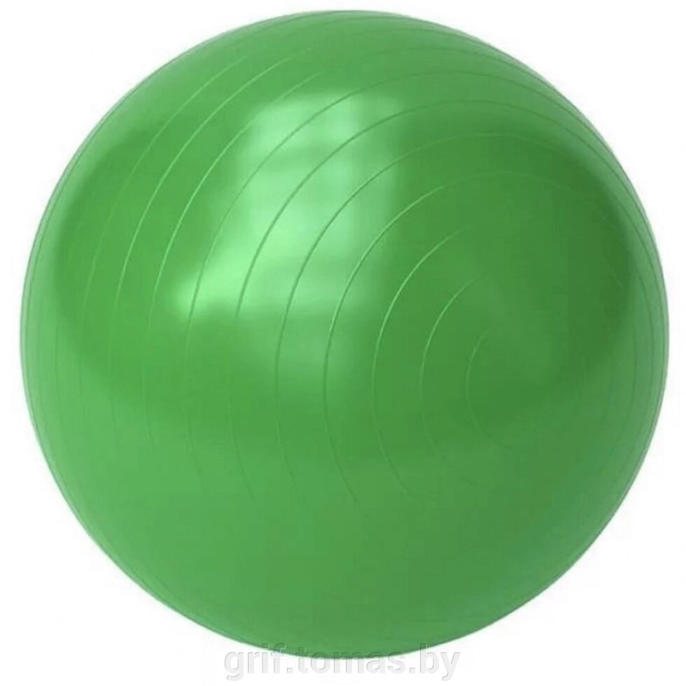 Мяч гимнастический (фитбол) Artbell 85 см с системой антивзрыв (арт. YL-YG-202-85-G) от компании Интернет-магазин товаров для спорта и туризма ГРИФ-СПОРТ - фото 1