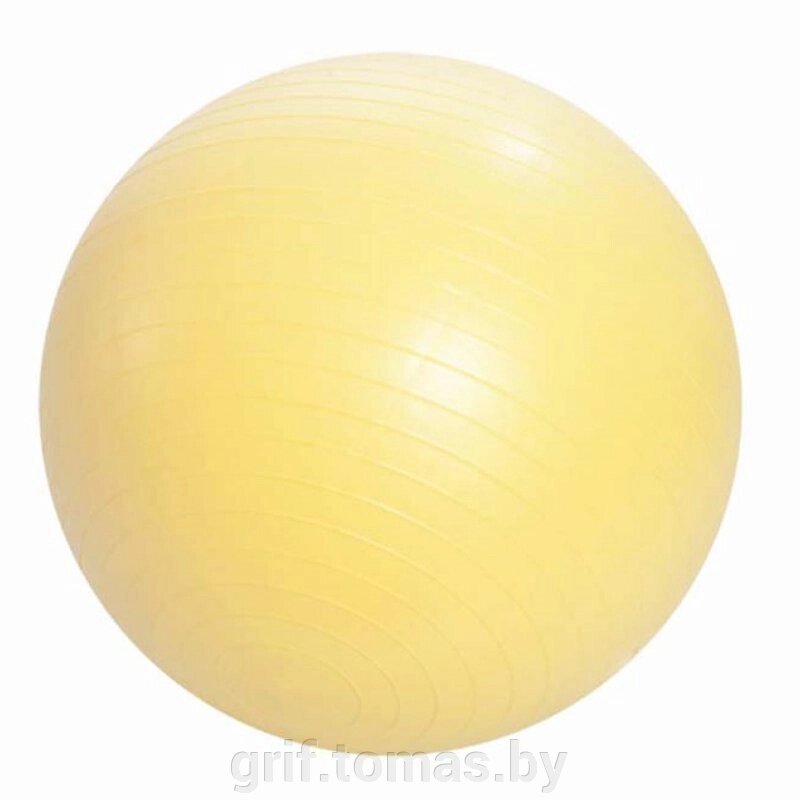 Мяч гимнастический (фитбол) с системой антивзрыв 55 см (арт. FB-55) от компании Интернет-магазин товаров для спорта и туризма ГРИФ-СПОРТ - фото 1
