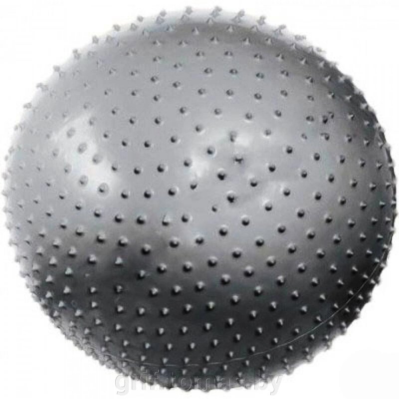 Мяч гимнастический массажный 60 см  (арт. D60) от компании Интернет-магазин товаров для спорта и туризма ГРИФ-СПОРТ - фото 1