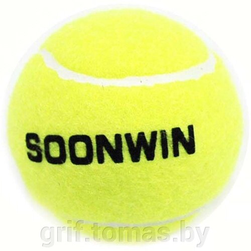 Мяч теннисный (арт. ODIN-60) от компании Интернет-магазин товаров для спорта и туризма ГРИФ-СПОРТ - фото 1