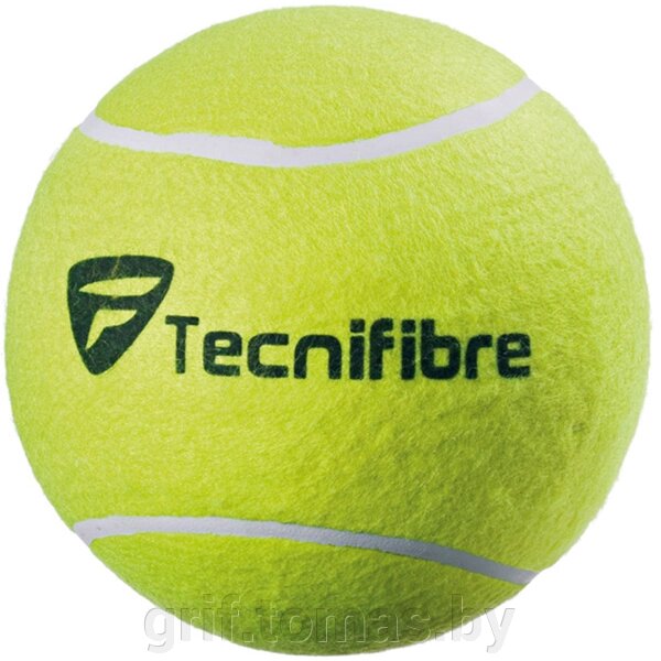 Мяч теннисный сувенирный Tecnifibre Jumbo 24 см (арт. 55TFGBJAUN) от компании Интернет-магазин товаров для спорта и туризма ГРИФ-СПОРТ - фото 1