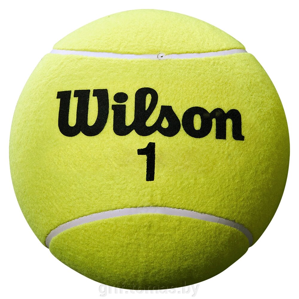 Мяч теннисный сувенирный Wilson Roland Garros Mini Jumbo (арт. WRT1416YD) от компании Интернет-магазин товаров для спорта и туризма ГРИФ-СПОРТ - фото 1