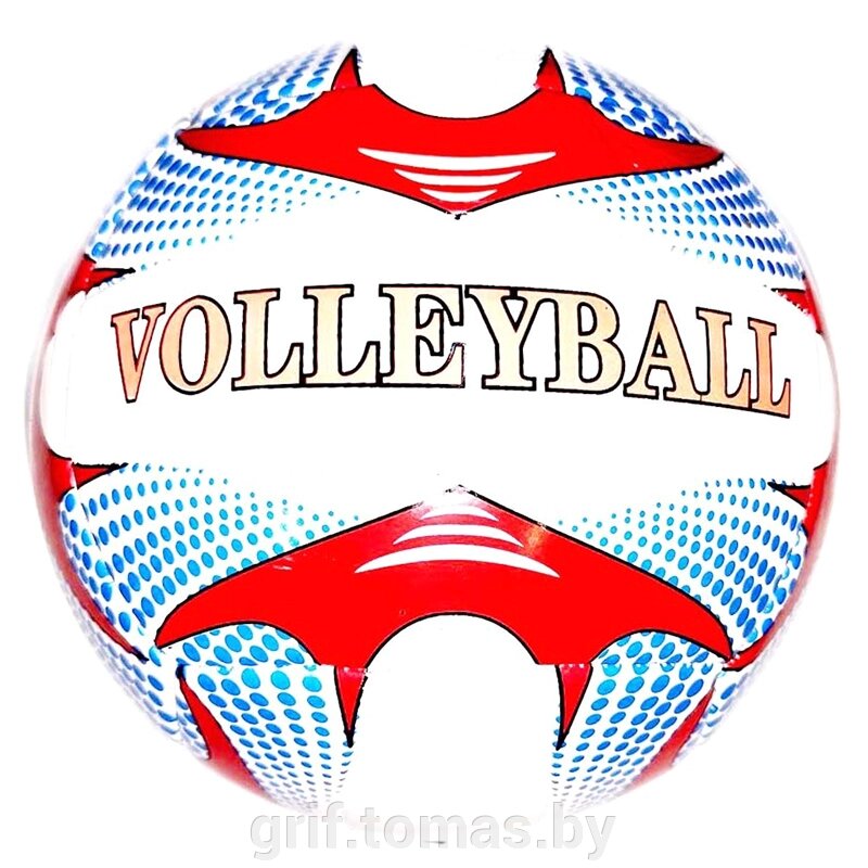 Мяч волейбольный любительский (арт. BA-2303) от компании Интернет-магазин товаров для спорта и туризма ГРИФ-СПОРТ - фото 1