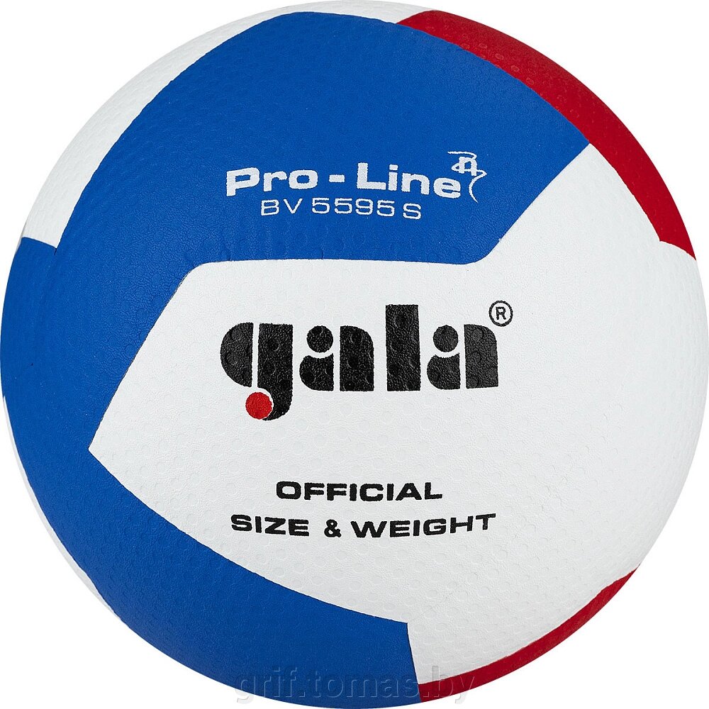 Мяч волейбольный матчевый Gala Pro-Line 12 (арт. BV5595SA) от компании Интернет-магазин товаров для спорта и туризма ГРИФ-СПОРТ - фото 1