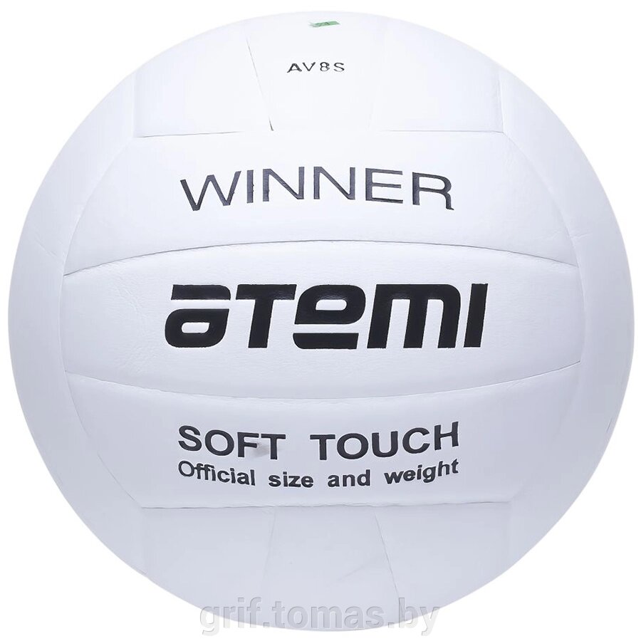 Мяч волейбольный тренировочный Atemi Winner (арт. AT-25219) от компании Интернет-магазин товаров для спорта и туризма ГРИФ-СПОРТ - фото 1