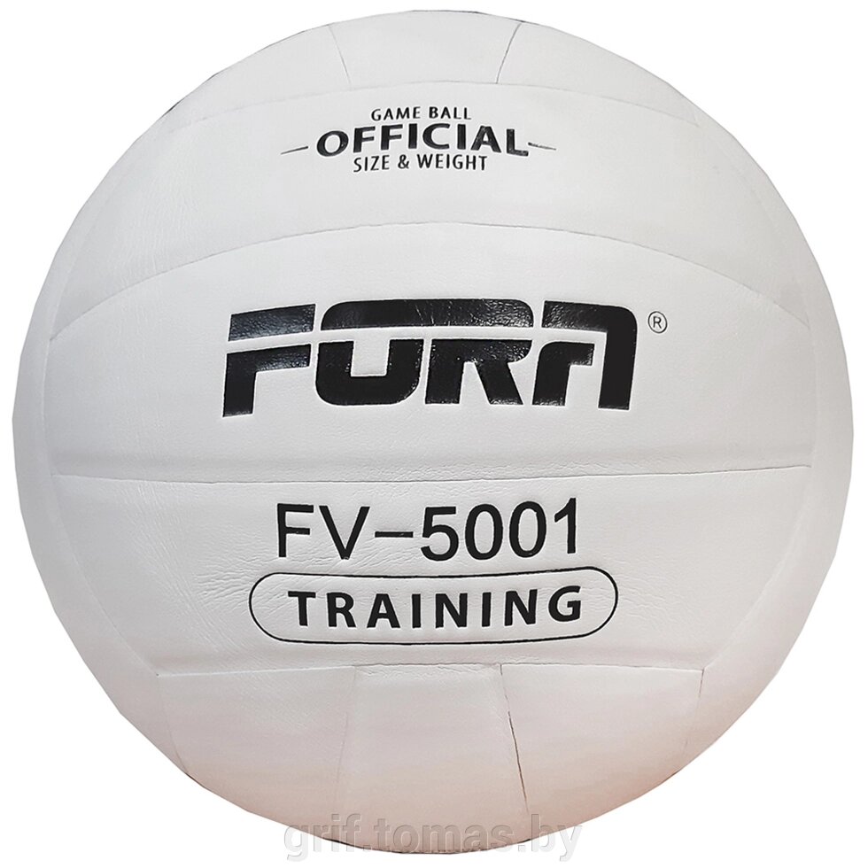 Мяч волейбольный тренировочный Fora (арт. FV-5001) от компании Интернет-магазин товаров для спорта и туризма ГРИФ-СПОРТ - фото 1