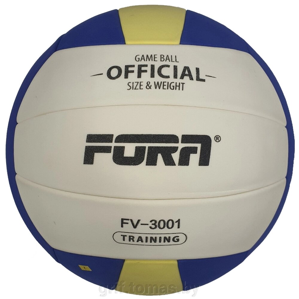 Мяч волейбольный тренировочный Fora Soft Touch (арт. FV-3001) от компании Интернет-магазин товаров для спорта и туризма ГРИФ-СПОРТ - фото 1