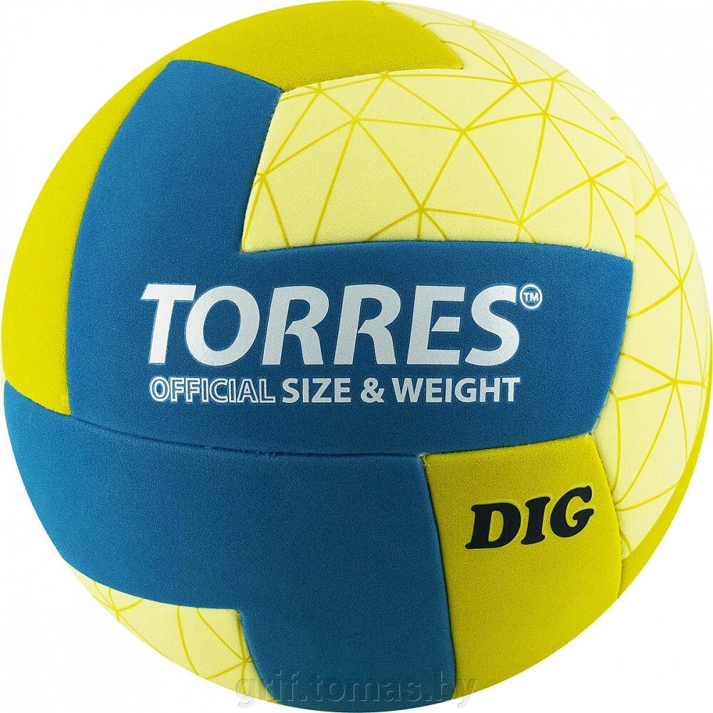 Мяч волейбольный тренировочный Torres Dig (арт. V22145) от компании Интернет-магазин товаров для спорта и туризма ГРИФ-СПОРТ - фото 1
