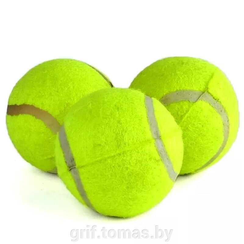 Мячи теннисные Tiger (3 мяча в пакете) (арт. CF-TIG-3) от компании Интернет-магазин товаров для спорта и туризма ГРИФ-СПОРТ - фото 1