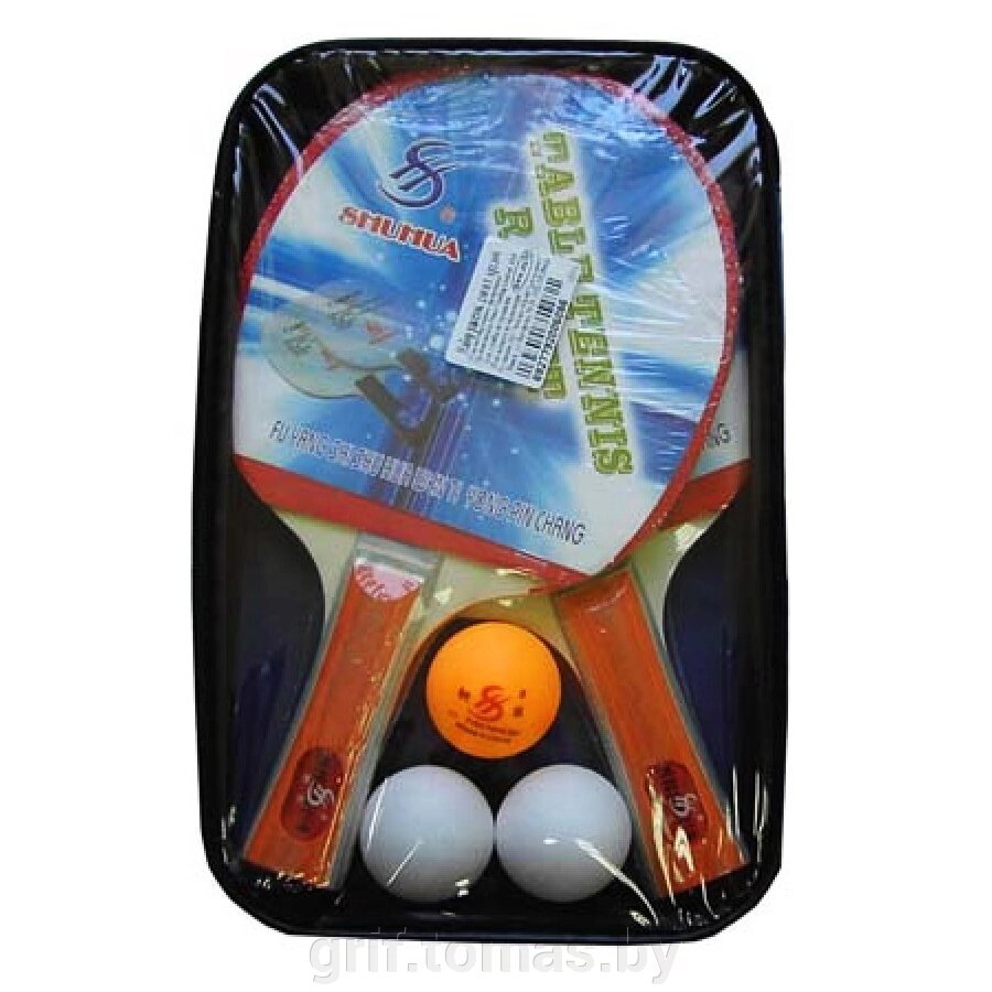 Набор для настольного тенниса  (арт. 608) от компании Интернет-магазин товаров для спорта и туризма ГРИФ-СПОРТ - фото 1
