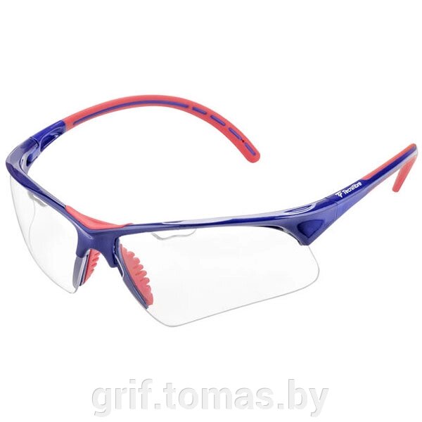 Очки для сквоша Tecnifibre Squash Glasses (синий/красный) (арт. 54SQGLRE21) от компании Интернет-магазин товаров для спорта и туризма ГРИФ-СПОРТ - фото 1