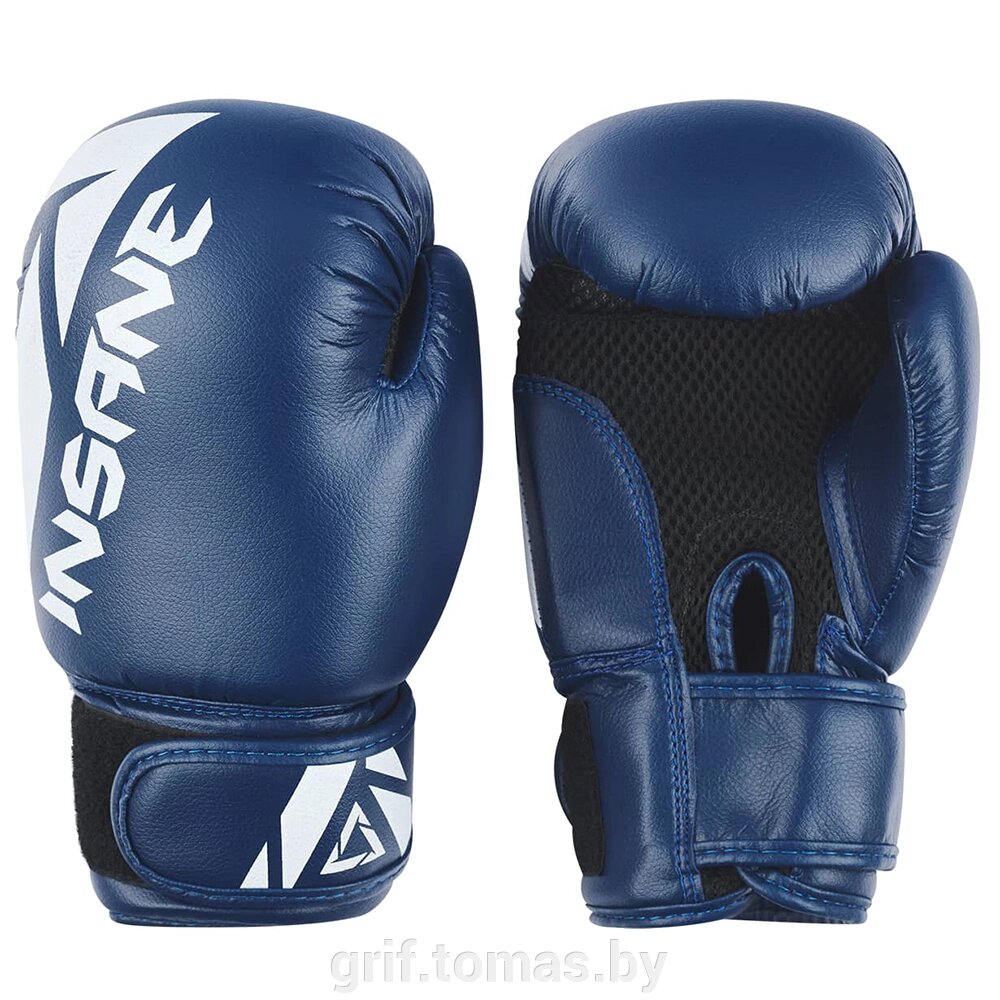 Перчатки боксерские Insane Mars ПУ (синий) (арт. IN22-BG100-BL) от компании Интернет-магазин товаров для спорта и туризма ГРИФ-СПОРТ - фото 1