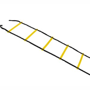 Лестница координационная 4 метра (арт. S2413-2)