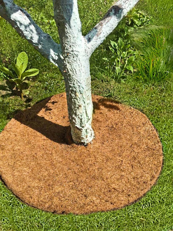 Круг приствольный кокосовый диаметр 1200мм от компании ООО "ДомСпецСервис" - фото 1